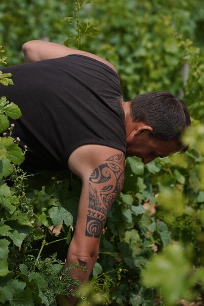 Homme tatoué en débardeur noir travaillant parmi des plantes vertes.