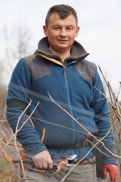 Homme en veste bleue dans un vignoble hivernal avec un sécateur de jardinage.